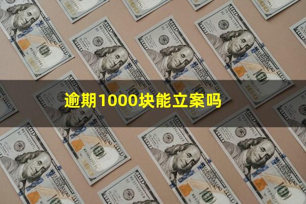 逾期1000块能立案吗