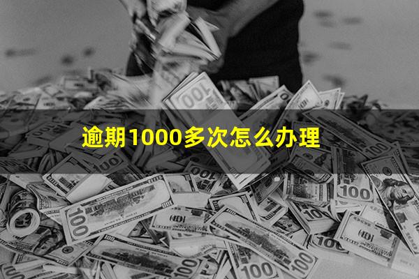 逾期1000多次怎么办理