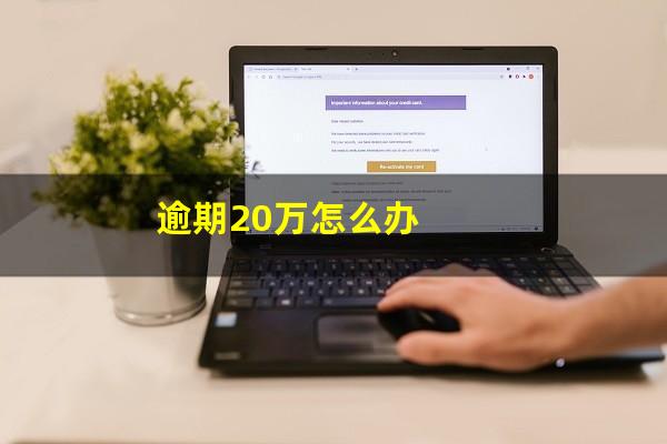 逾期20万怎么办