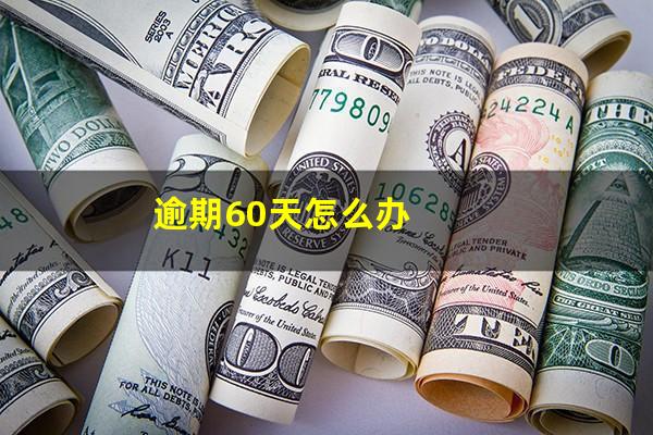 逾期60天怎么办