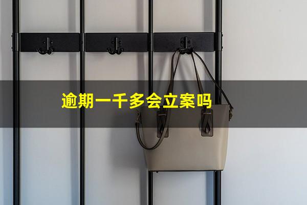 逾期一千多会立案吗