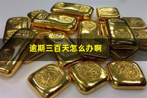 逾期三百天怎么办啊