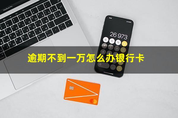 逾期不到一万怎么办银行卡