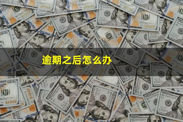 逾期之后怎么办