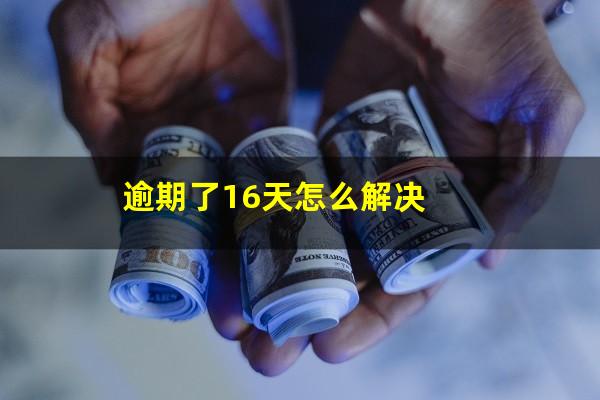 逾期了16天怎么解决