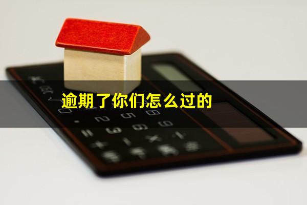 逾期了你们怎么过的