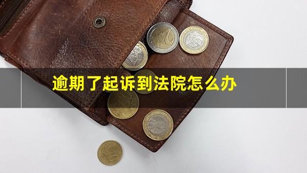 逾期了起诉到法院怎么办