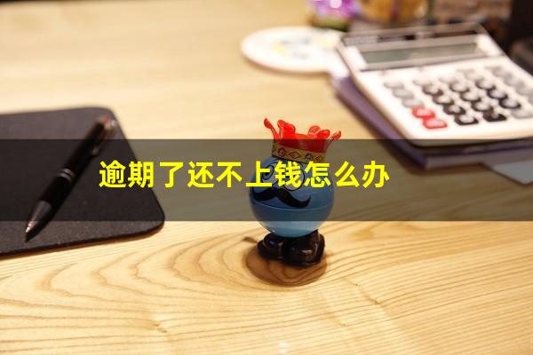 逾期了还不上钱怎么办