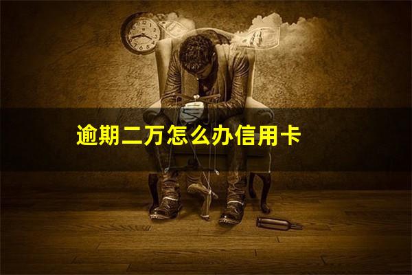 逾期二万怎么办信用卡