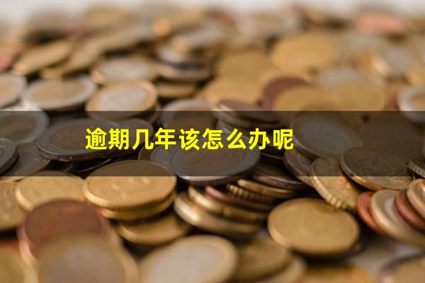 逾期几年该怎么办呢