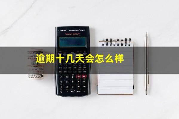 逾期十几天会怎么样