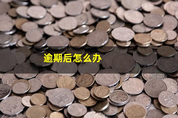 逾期后怎么办