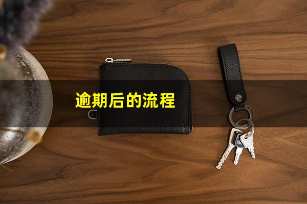 逾期后的流程