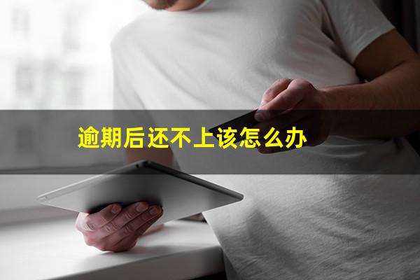 逾期后还不上该怎么办