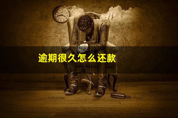 逾期很久怎么还款