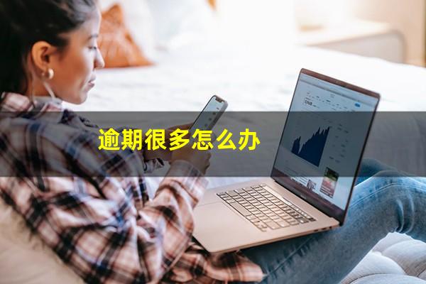 逾期很多怎么办