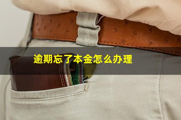 逾期忘了本金怎么办理