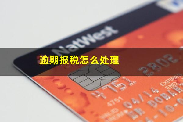 逾期报税怎么处理