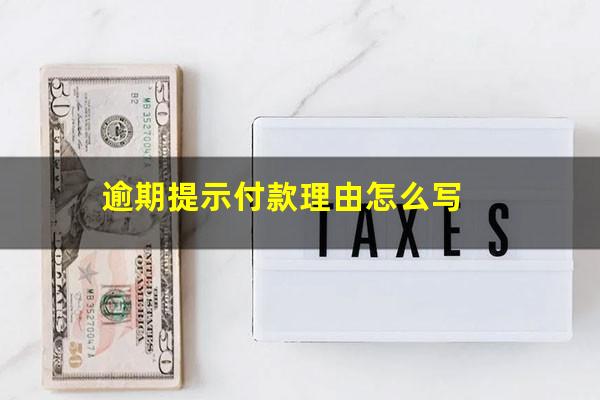 逾期提示付款理由怎么写