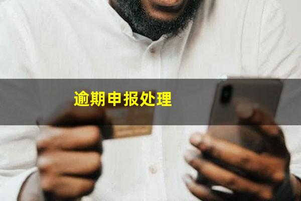 逾期申报处理
