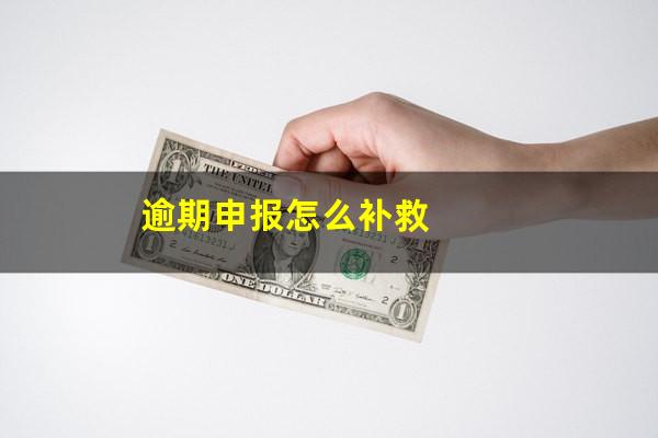 逾期申报怎么补救