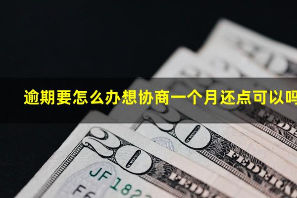 逾期要怎么办想协商一个月还点可以吗