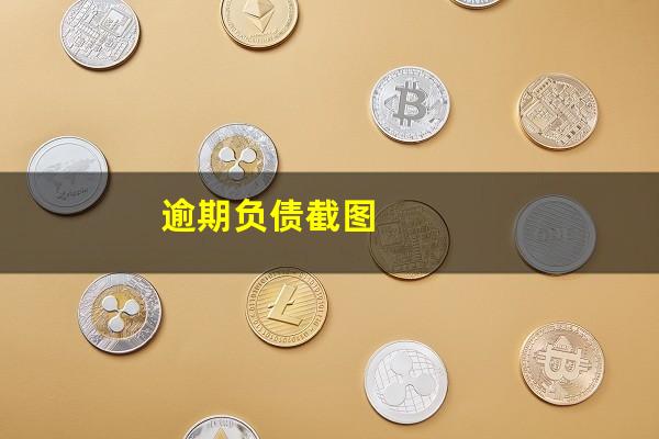 逾期负债截图