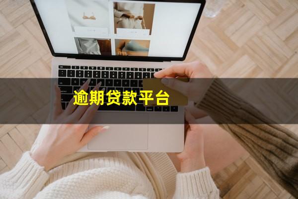 逾期贷款平台
