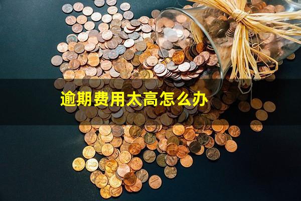 逾期费用太高怎么办