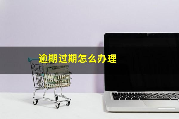 逾期过期怎么办理