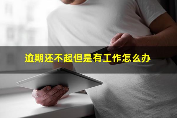逾期还不起但是有工作怎么办