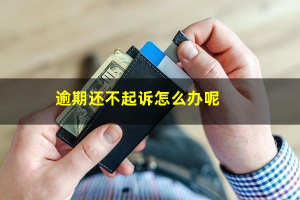 逾期还不起诉怎么办呢