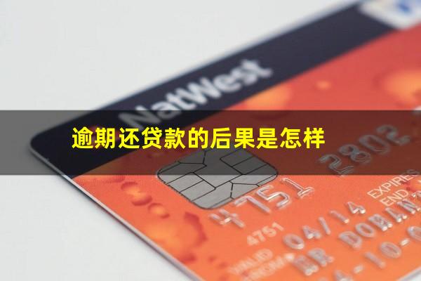 逾期还贷款的后果是怎样