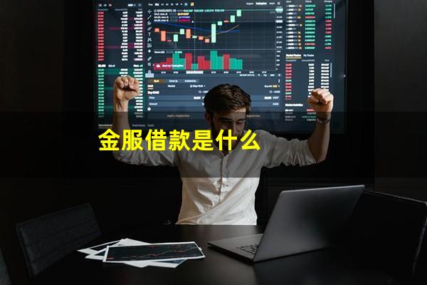 金服借款是什么