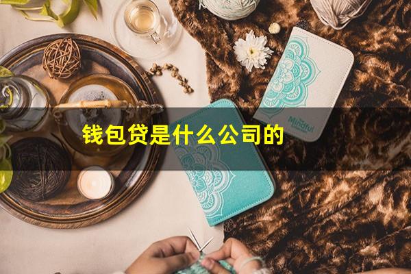 钱包贷是什么公司的
