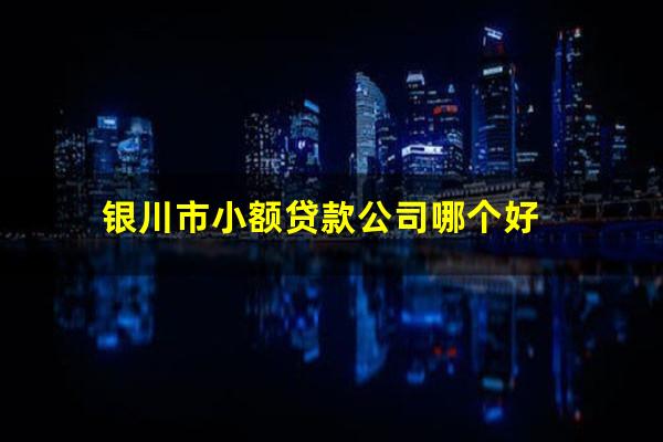 银川市小额贷款公司哪个好