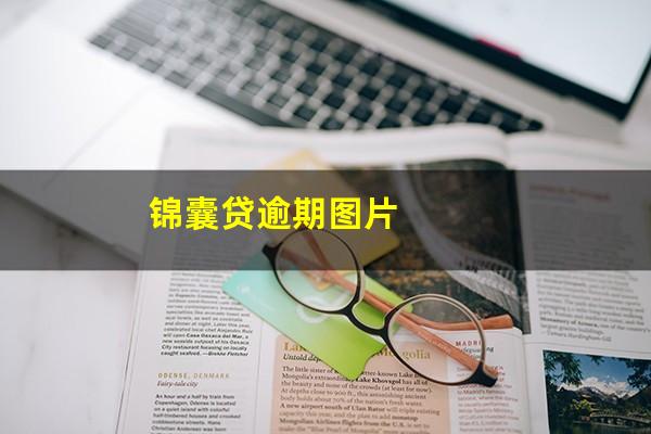 锦囊贷逾期图片