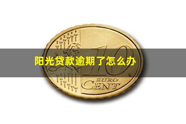 阳光贷款逾期了怎么办