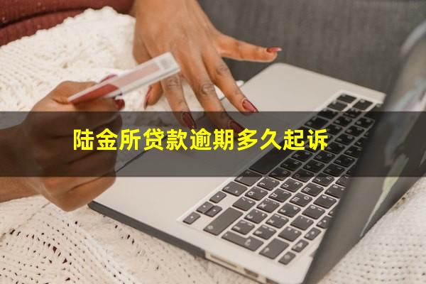 陆金所贷款逾期多久起诉