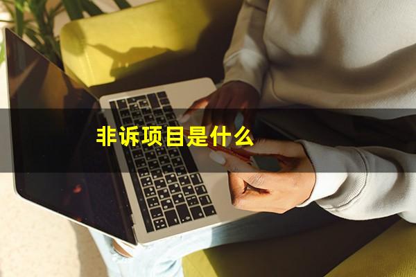 非诉项目是什么