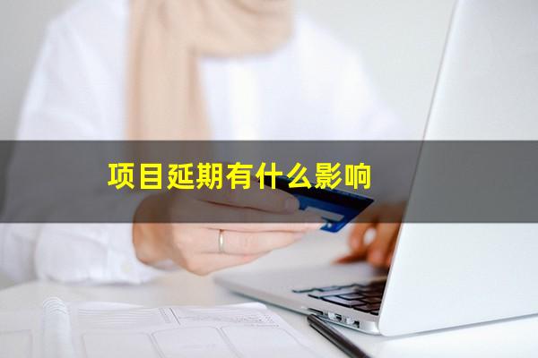 项目延期有什么影响