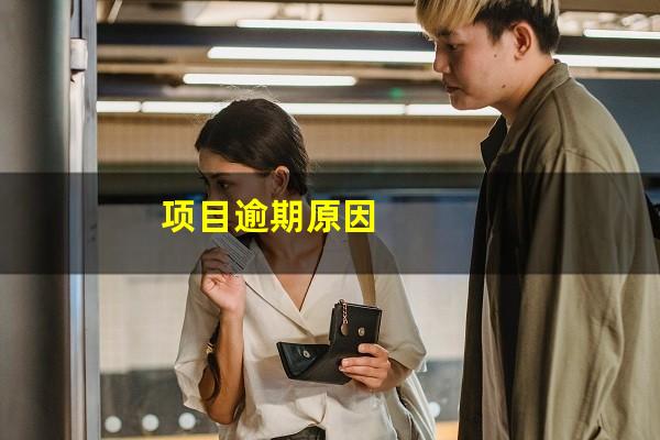 项目逾期原因
