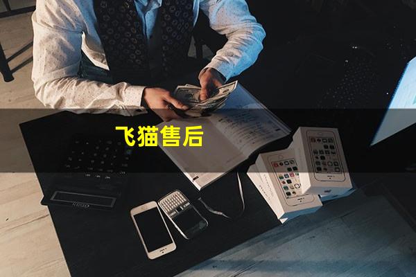 飞猫售后