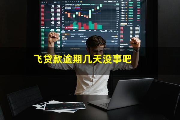 飞贷款逾期几天没事吧