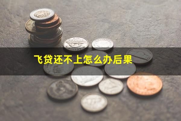 飞贷还不上怎么办后果