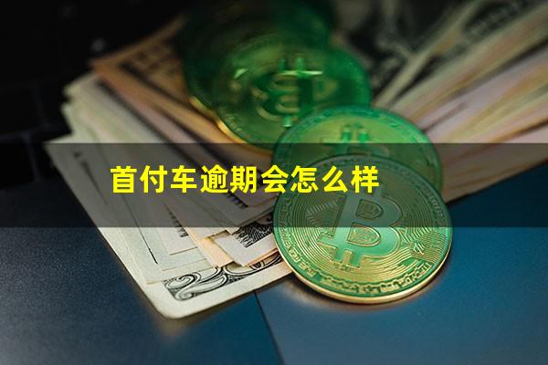 首付车逾期会怎么样