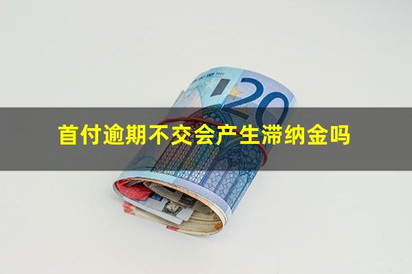 首付逾期不交会产生滞纳金吗