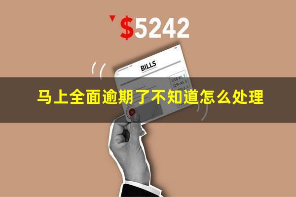 马上全面逾期了不知道怎么处理