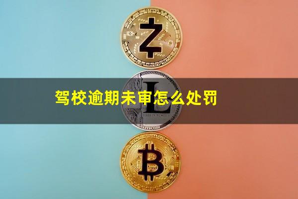驾校逾期未审怎么处罚