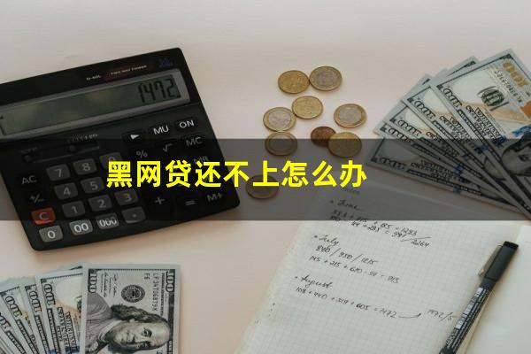 黑网贷还不上怎么办